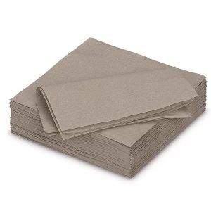 2-laags gekleurd servet onbedrukt